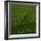 Take Me There-Doug Chinnery-Framed Photographic Print