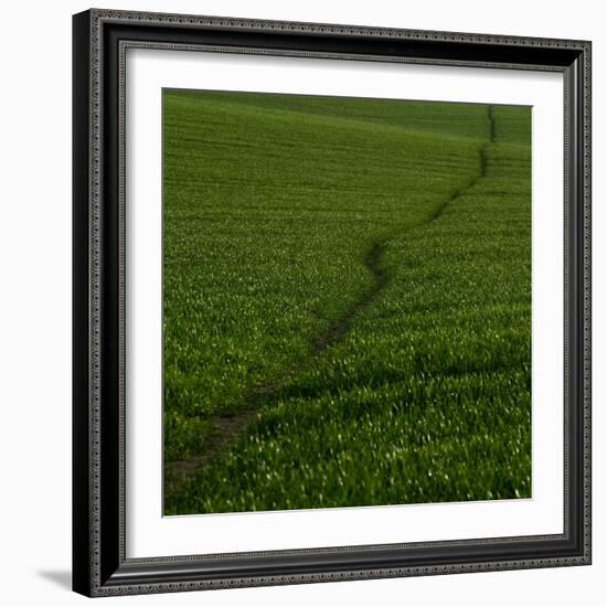 Take Me There-Doug Chinnery-Framed Photographic Print