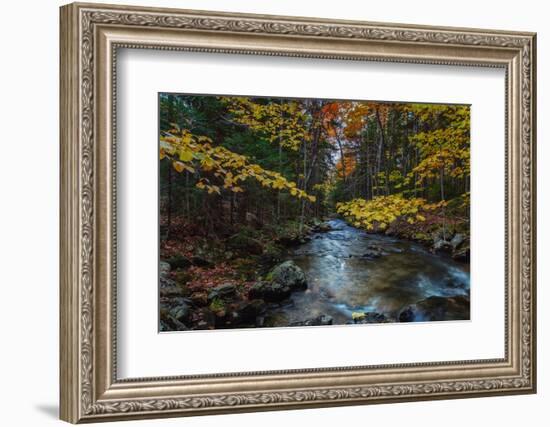 Take Me To The River, Autumn Maine Acadia National Park-Vincent James-Framed Photographic Print
