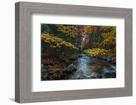 Take Me To The River, Autumn Maine Acadia National Park-Vincent James-Framed Photographic Print