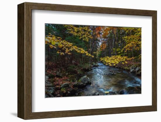 Take Me To The River, Autumn Maine Acadia National Park-Vincent James-Framed Photographic Print