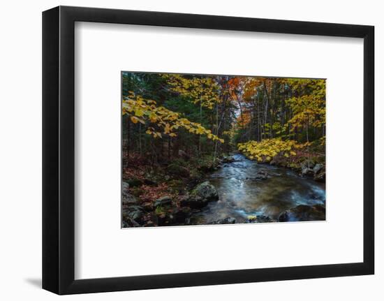 Take Me To The River, Autumn Maine Acadia National Park-Vincent James-Framed Photographic Print