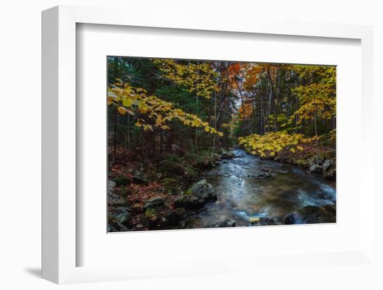 Take Me To The River, Autumn Maine Acadia National Park-Vincent James-Framed Photographic Print