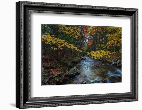 Take Me To The River, Autumn Maine Acadia National Park-Vincent James-Framed Photographic Print