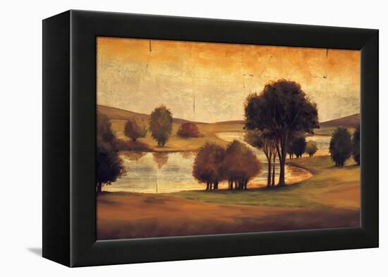 Take me to the River I-Gregory Williams-Framed Stretched Canvas