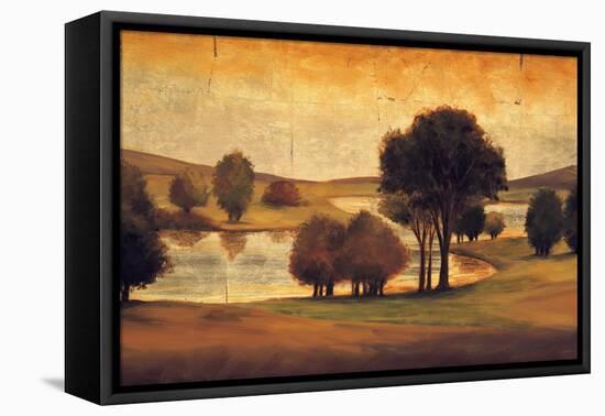 Take me to the River I-Gregory Williams-Framed Stretched Canvas