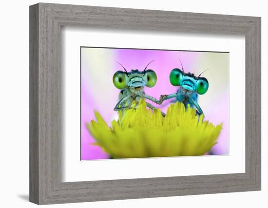 Take My Hand-Alberto Ghizzi Panizza-Framed Photographic Print