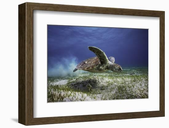 Take Off-Barathieu Gabriel-Framed Photographic Print