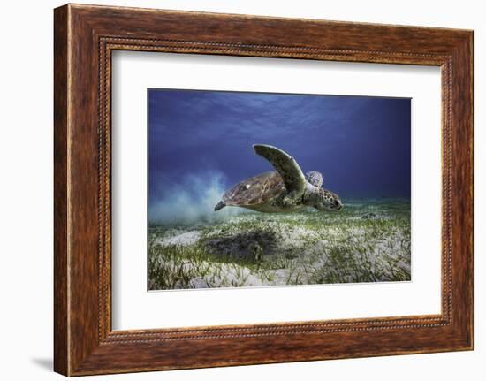 Take Off-Barathieu Gabriel-Framed Photographic Print