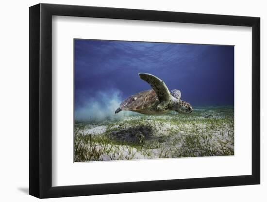 Take Off-Barathieu Gabriel-Framed Photographic Print