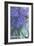 Take Time to Smell the Lilacs-Marnie Bourque-Framed Giclee Print
