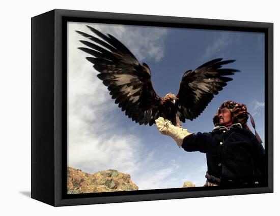 Takhuu Raising His Eagle, Golden Eagle Festival, Mongolia-Amos Nachoum-Framed Premier Image Canvas