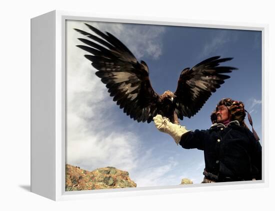 Takhuu Raising His Eagle, Golden Eagle Festival, Mongolia-Amos Nachoum-Framed Premier Image Canvas