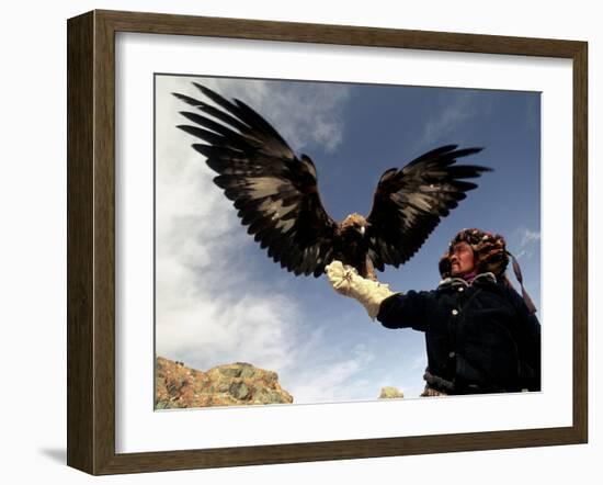 Takhuu Raising His Eagle, Golden Eagle Festival, Mongolia-Amos Nachoum-Framed Photographic Print