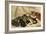 Taking a Cat Nap-Henriette Ronner-Knip-Framed Giclee Print