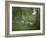 Taking a Walk-George Inness-Framed Giclee Print