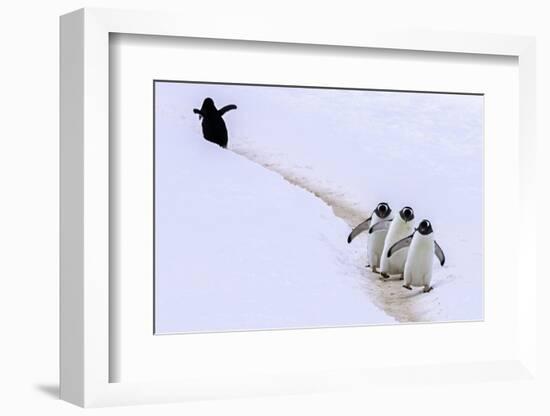 Taking a Wrong Turn-Art Wolfe-Framed Photographic Print