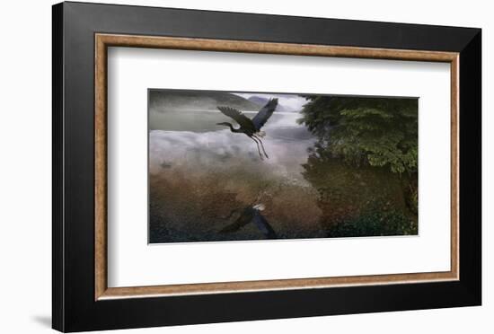 Taking Flight-Steve Hunziker-Framed Art Print