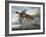 Taking Flight-Carolyn Mock-Framed Premium Giclee Print