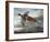 Taking Flight-Carolyn Mock-Framed Premium Giclee Print