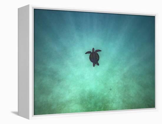 Taking it Easy-Art Wolfe-Framed Premier Image Canvas