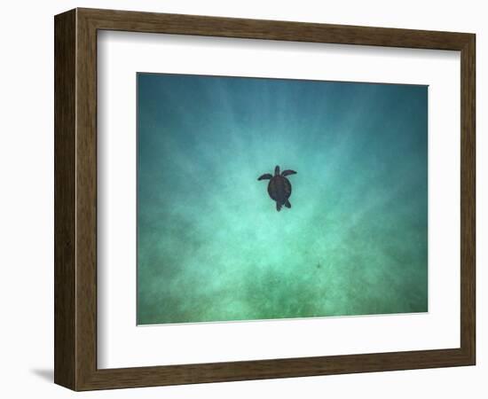 Taking it Easy-Art Wolfe-Framed Photographic Print