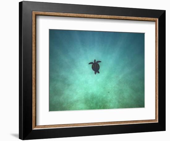 Taking it Easy-Art Wolfe-Framed Photographic Print