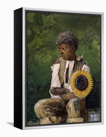 Taking Sunflower to Teacher-Winslow Homer-Framed Premier Image Canvas