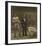 Taking the Count-Thomas Eakins-Framed Premium Giclee Print