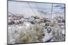 Taking the Gondola Up the Mountain at Telluride Ski Resort-Howie Garber-Mounted Photographic Print