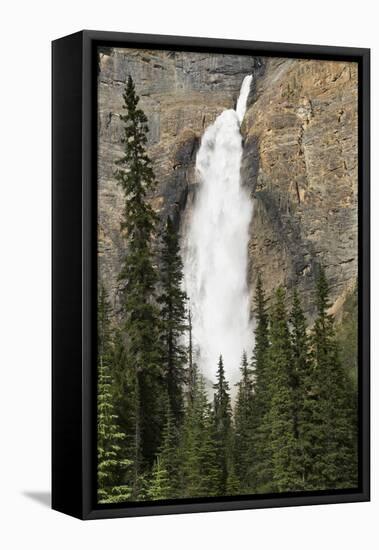 Takkakaw Falls, Yoho National Park, British Columbia, Canada-Michel Hersen-Framed Premier Image Canvas