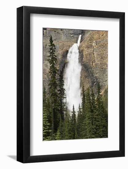 Takkakaw Falls, Yoho National Park, British Columbia, Canada-Michel Hersen-Framed Photographic Print