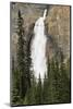 Takkakaw Falls, Yoho National Park, British Columbia, Canada-Michel Hersen-Mounted Photographic Print