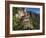 Taktsang Dzong or Tiger's Nest, Built in the 8th Century, Paro, Bhutan-Peter Adams-Framed Photographic Print