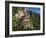 Taktsang Dzong or Tiger's Nest, Built in the 8th Century, Paro, Bhutan-Peter Adams-Framed Photographic Print