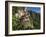 Taktsang Dzong or Tiger's Nest, Built in the 8th Century, Paro, Bhutan-Peter Adams-Framed Photographic Print