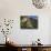 Taktsang Dzong or Tiger's Nest, Built in the 8th Century, Paro, Bhutan-Peter Adams-Photographic Print displayed on a wall