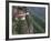 Taktsang (Tiger's Nest) Dzong Perched on Edge of Steep Cliff, Paro Valley, Bhutan-Keren Su-Framed Photographic Print