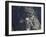 Taktshang Goemba (Tiger's Nest) Monastery, Paro, Bhutan-Angelo Cavalli-Framed Photographic Print