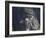 Taktshang Goemba (Tiger's Nest) Monastery, Paro, Bhutan-Angelo Cavalli-Framed Photographic Print