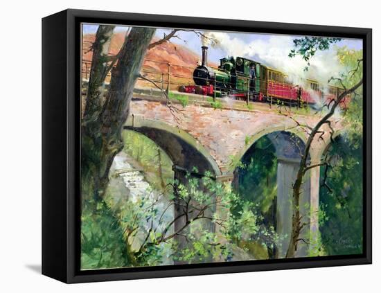 Tal-Y-Llyn Railway on the Dolgoch Viaduct, 1967 (Oil on Canvas)-Terence Cuneo-Framed Premier Image Canvas