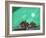 Tales by Moonlight, 2008-Oglafa Ebitari Perrin-Framed Giclee Print