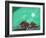 Tales by Moonlight, 2008-Oglafa Ebitari Perrin-Framed Giclee Print