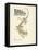 Tales of Mystery and Imagination-Arthur Rackham-Framed Stretched Canvas