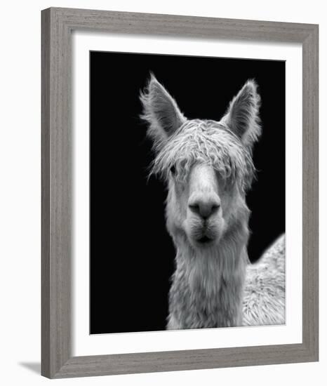 Talina-Bill Philip-Framed Giclee Print