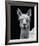 Talina-Bill Philip-Framed Giclee Print