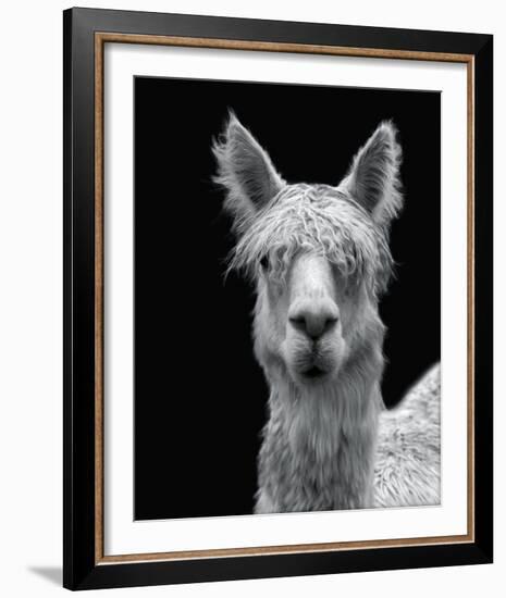 Talina-Bill Philip-Framed Giclee Print