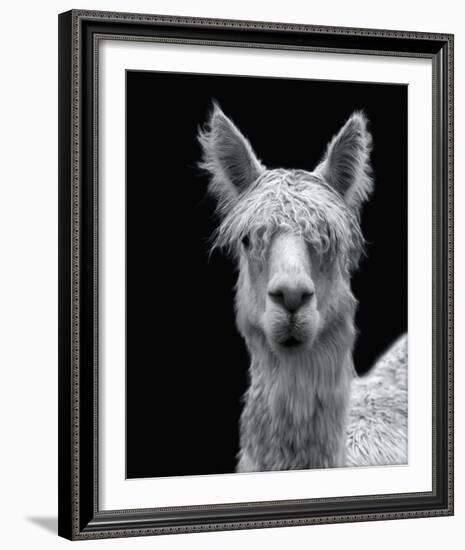 Talina-Bill Philip-Framed Giclee Print