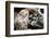 Taling Chan Floating Market, Bangkok, Thailand, Southeast Asia, Asia-Andrew Taylor-Framed Photographic Print