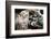Taling Chan Floating Market, Bangkok, Thailand, Southeast Asia, Asia-Andrew Taylor-Framed Photographic Print